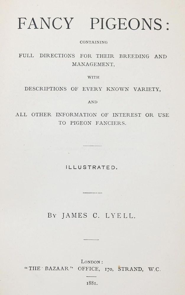 Große Abbildung Nr.2: 142-2036 Lyell,J.C.: (Zoologie, Vögel, Tauben)