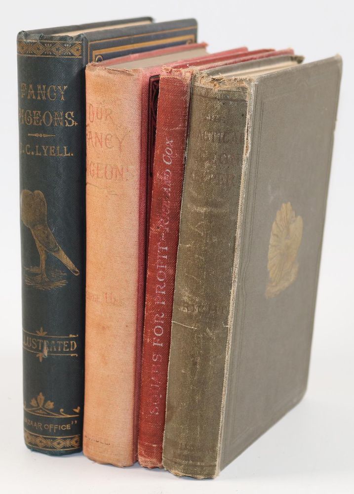 Große Abbildung Nr.3: 142-2036 Lyell,J.C.: (Zoologie, Vögel, Tauben)