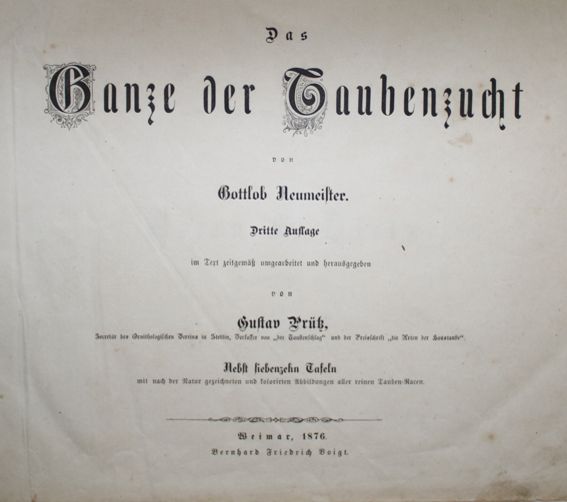 Große Abbildung Nr.1: 142-2039 Neumeister,G.: (Zoologie, Vögel, Tauben)