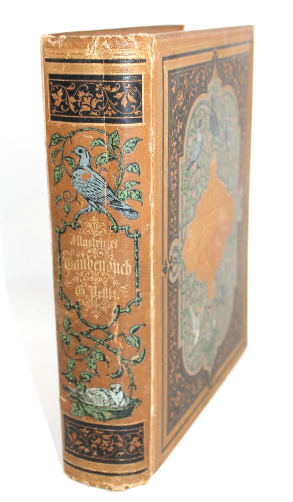 Große Abbildung Nr.4: 142-2041 Prütz,G.: (Zoologie, Vögel, Tauben)