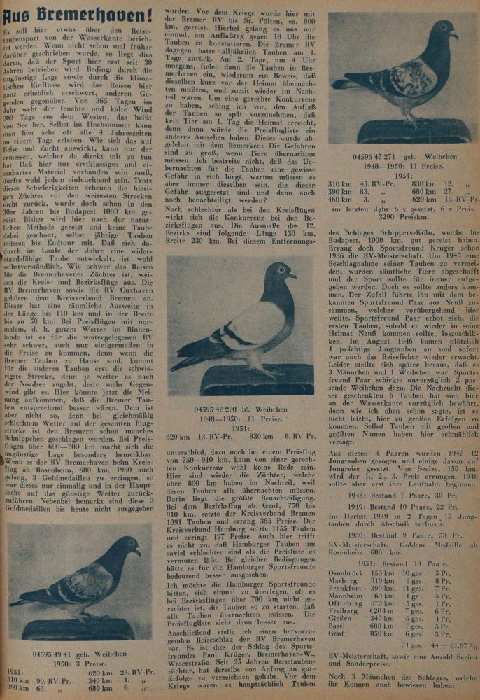 Große Abbildung Nr.3: 142-2043 Reisetaube, Die.: (Zoologie, Vögel, Tauben)