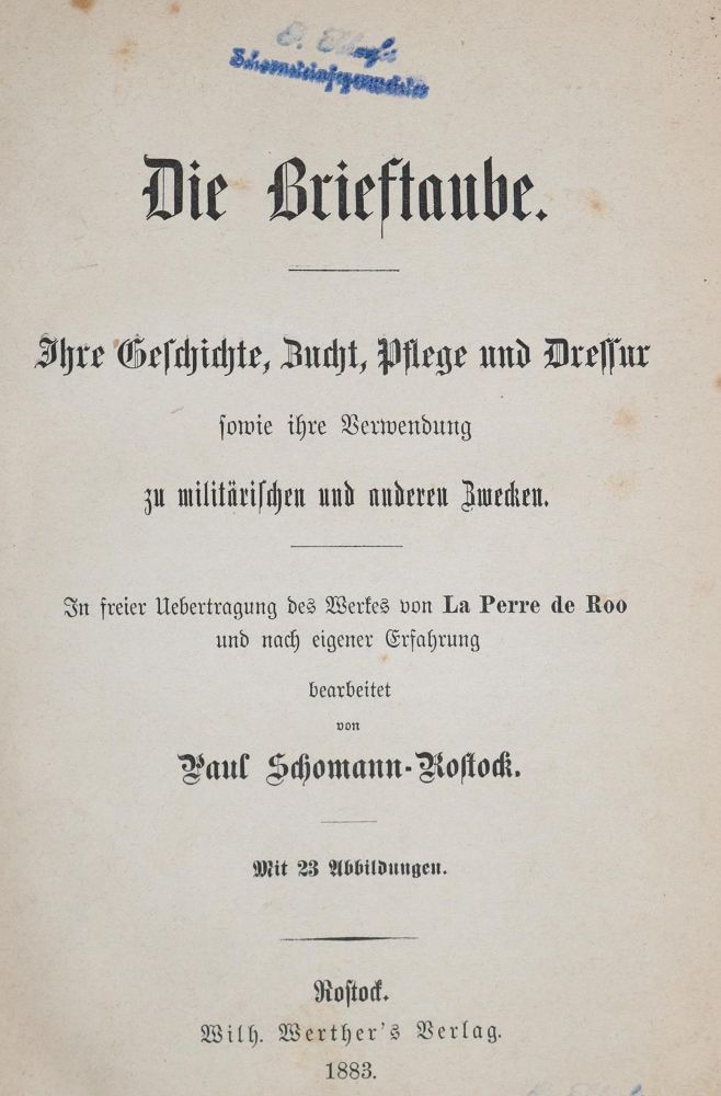 Große Abbildung Nr.22: 142-2045 Ruß,K.: (Zoologie, Vögel, Tauben)