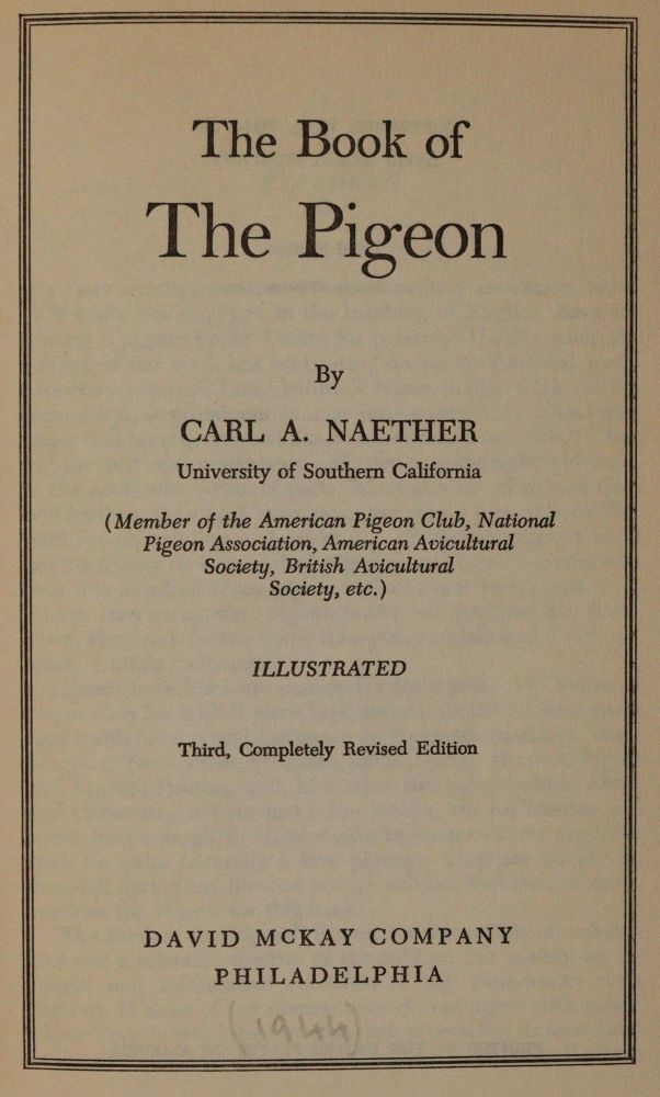 Große Abbildung Nr.5: 142-2047 Sammlung: (Zoologie, Vögel, Tauben)