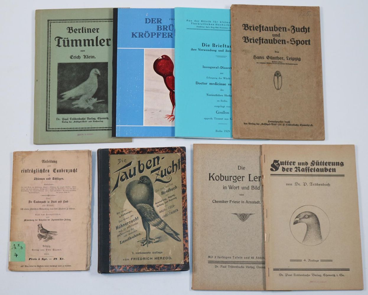 Große Abbildung Nr.1: 142-2048 Sammlung: (Zoologie, Vögel, Tauben)