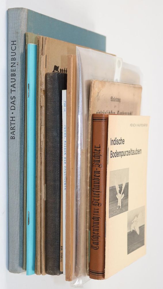 Große Abbildung Nr.2: 142-2048 Sammlung: (Zoologie, Vögel, Tauben)
