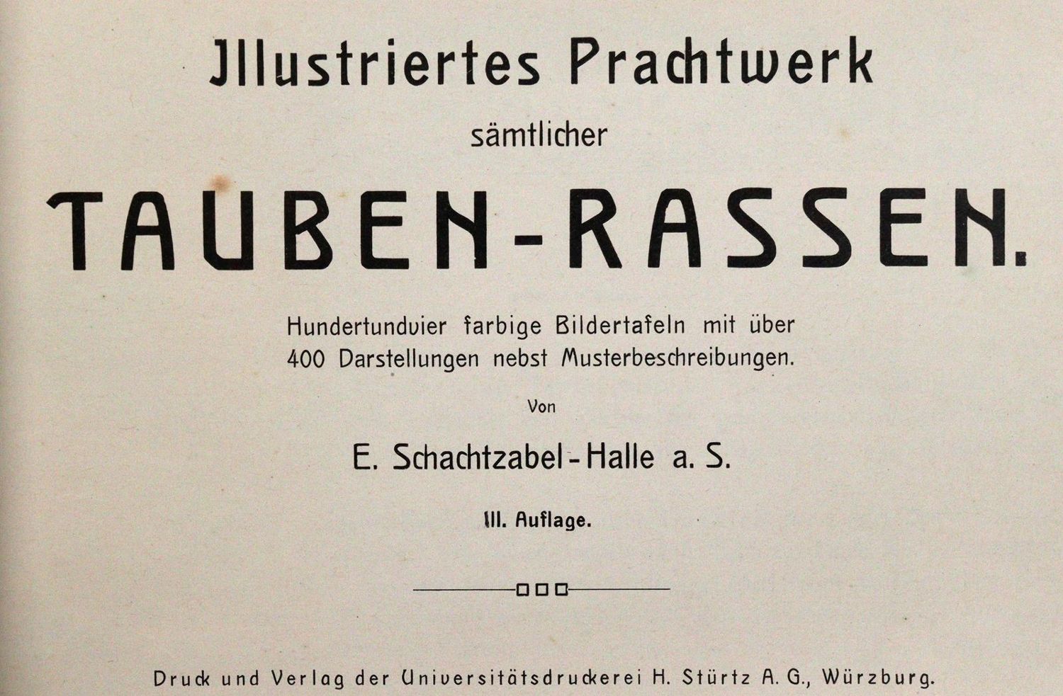 Große Abbildung Nr.1: 142-2050 Sammlung: (Zoologie, Vögel, Tauben)