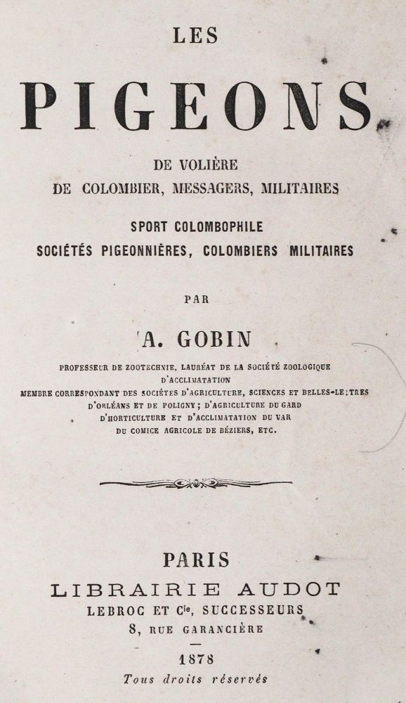 Große Abbildung Nr.1: 142-2051 Sammlung: (Zoologie, Vögel, Tauben)