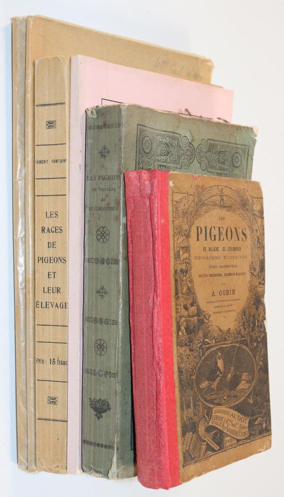 Große Abbildung Nr.5: 142-2051 Sammlung: (Zoologie, Vögel, Tauben)