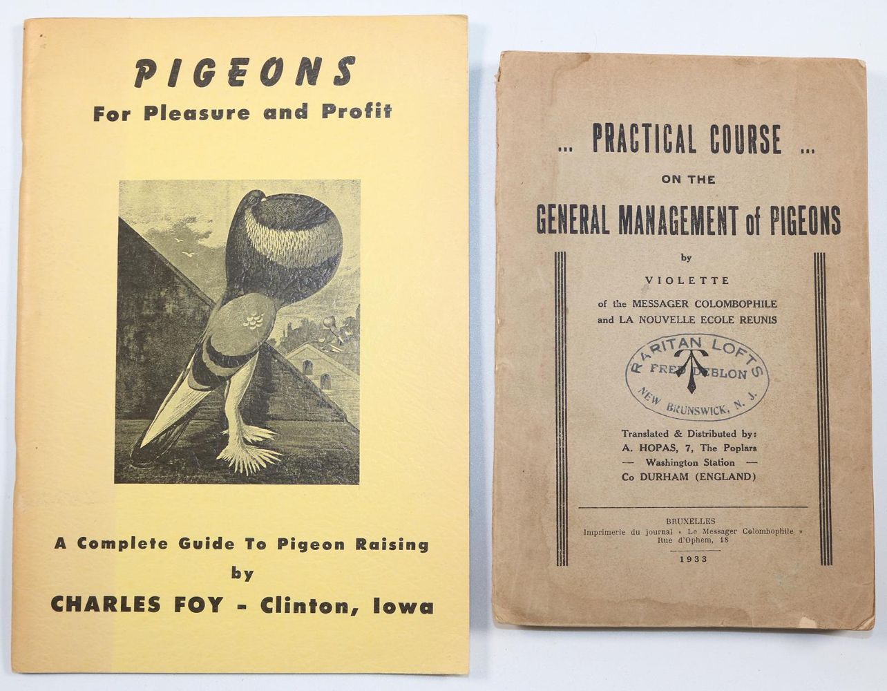 Große Abbildung Nr.1: 142-2052 Sammlung: (Zoologie, Vögel, Tauben)