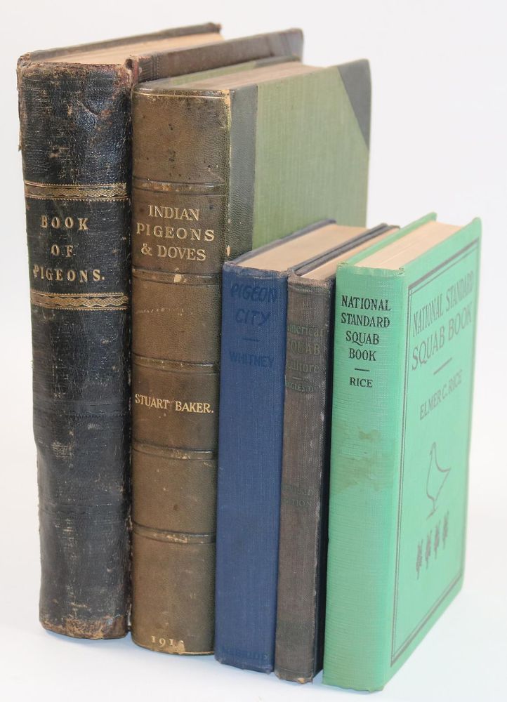 Große Abbildung Nr.2: 142-2052 Sammlung: (Zoologie, Vögel, Tauben)