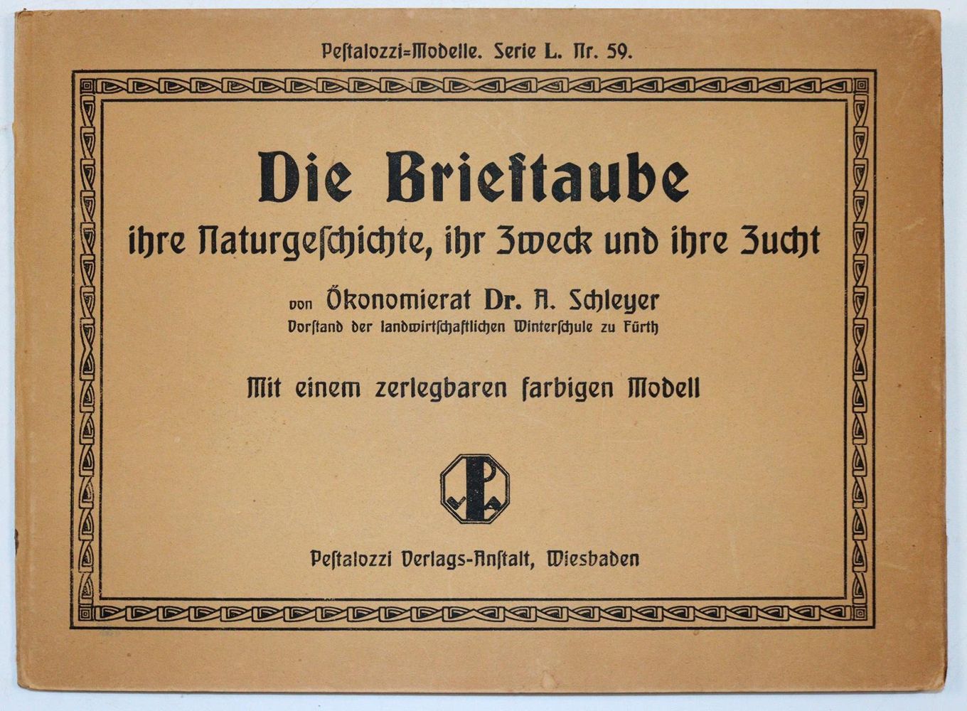 Große Abbildung Nr.4: 142-2055 Schleyer,A.: (Zoologie, Vögel, Tauben)