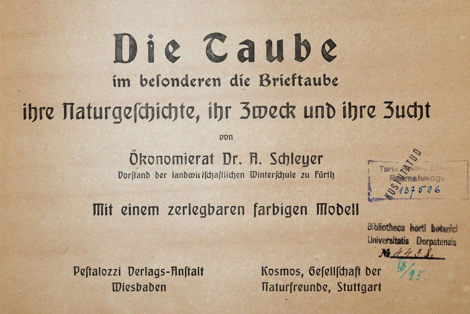 Große Abbildung Nr.1: 142-2056 Schleyer,A.: (Zoologie, Vögel, Tauben)