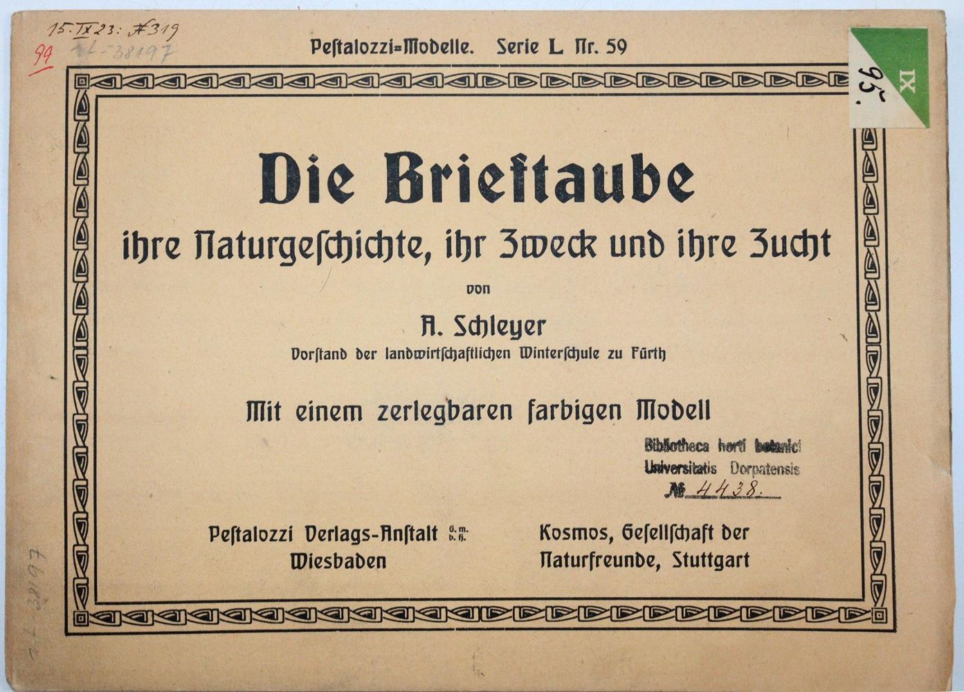 Große Abbildung Nr.4: 142-2056 Schleyer,A.: (Zoologie, Vögel, Tauben)