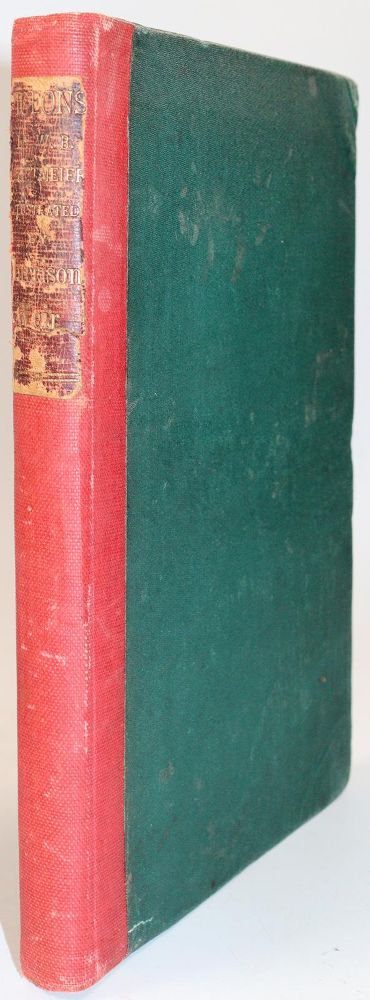 Große Abbildung Nr.5: 142-2059 Tegetmeier,W.B.: (Zoologie, Vögel, Tauben)