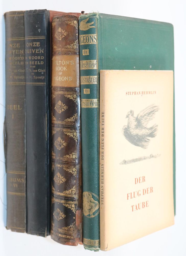 Große Abbildung Nr.4: 142-2060 Tegetmeier,W.B.: (Zoologie, Vögel, Tauben)