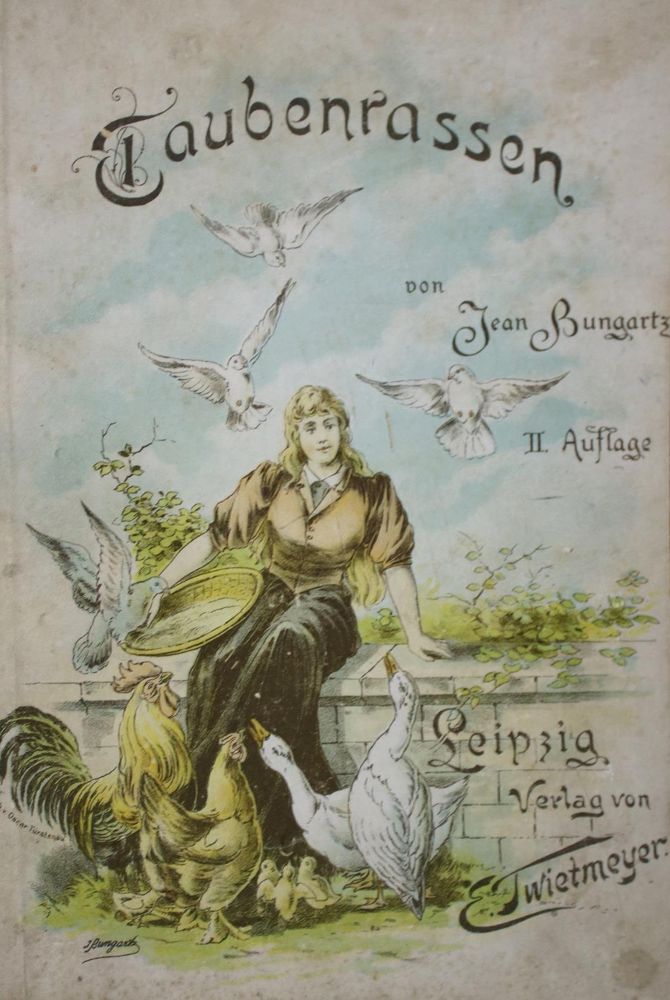 Große Abbildung Nr.3: 142-2061 Treitschke,F.: (Zoologie, Vögel, Tauben)