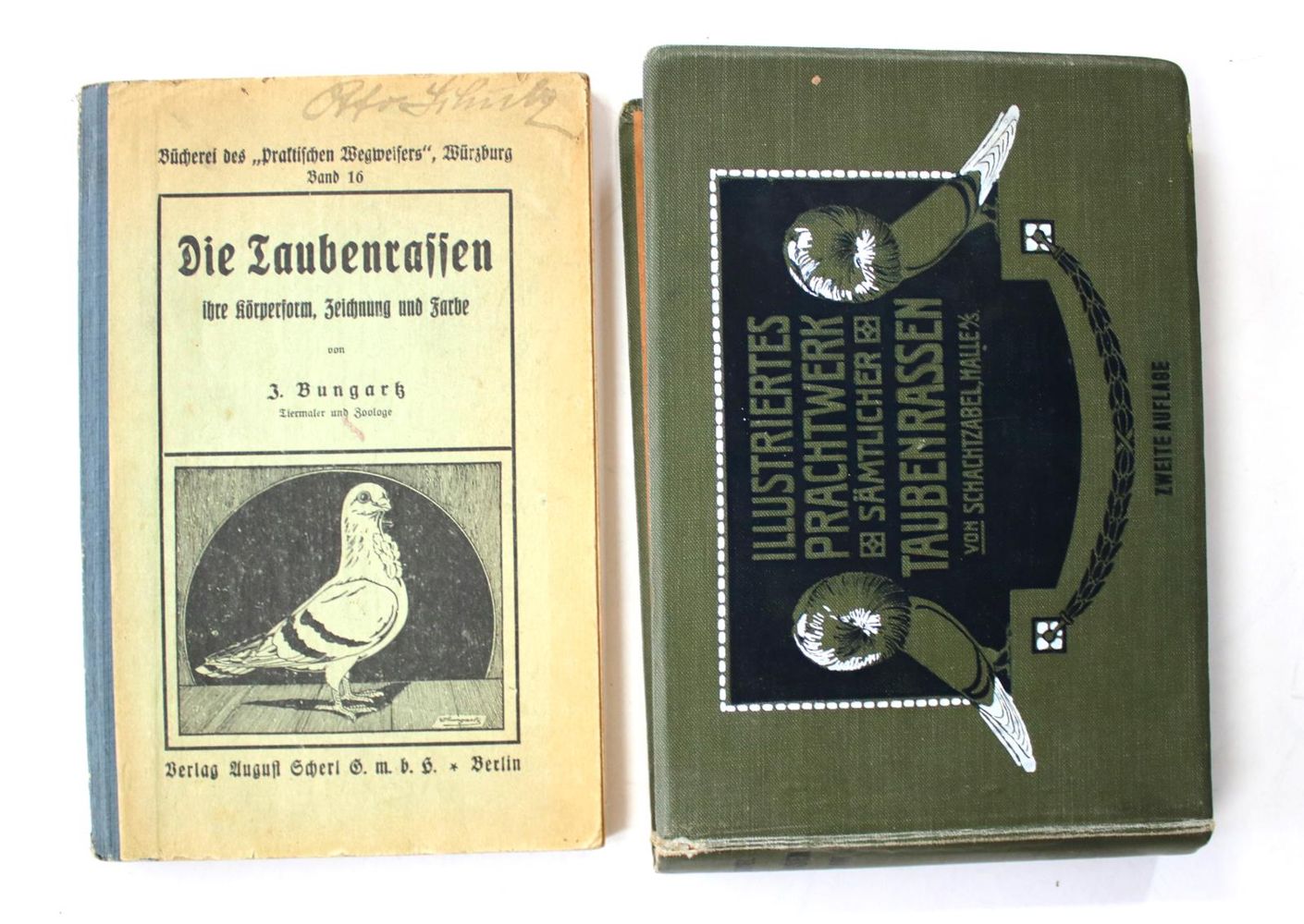Große Abbildung Nr.4: 142-2061 Treitschke,F.: (Zoologie, Vögel, Tauben)