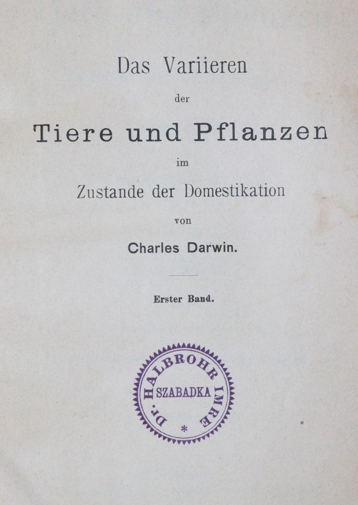 Große Abbildung Nr.3: 142-2093 Darwin,C.: (Verschiedene Gebiete - Varia)