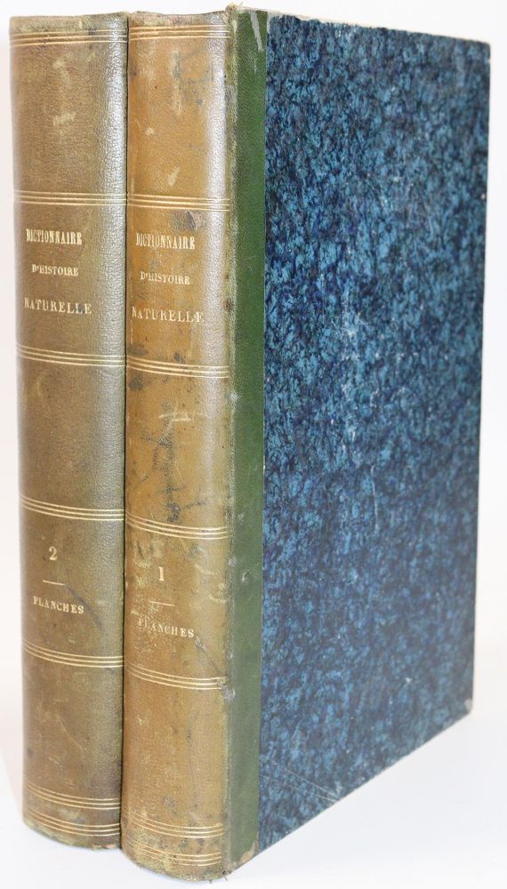 Große Abbildung Nr.5: 142-2106 (Guerin,F.E.: (Verschiedene Gebiete - Varia)