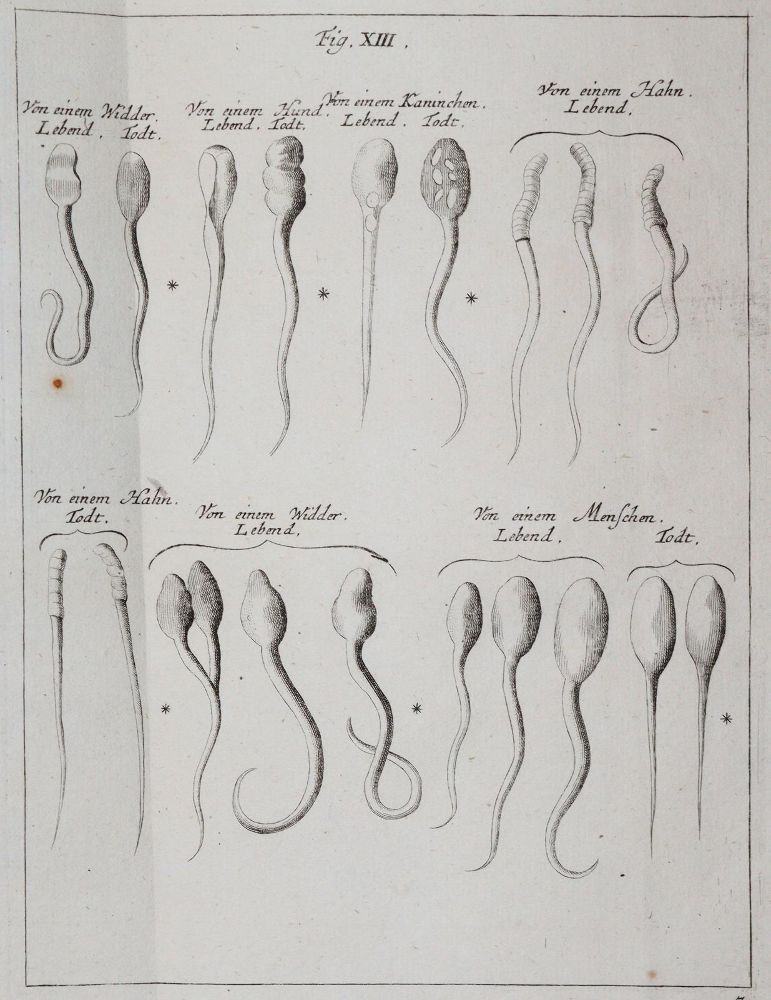 Große Abbildung Nr.25: 142-2119 Ledermüller,M.F.: (Verschiedene Gebiete - Varia)