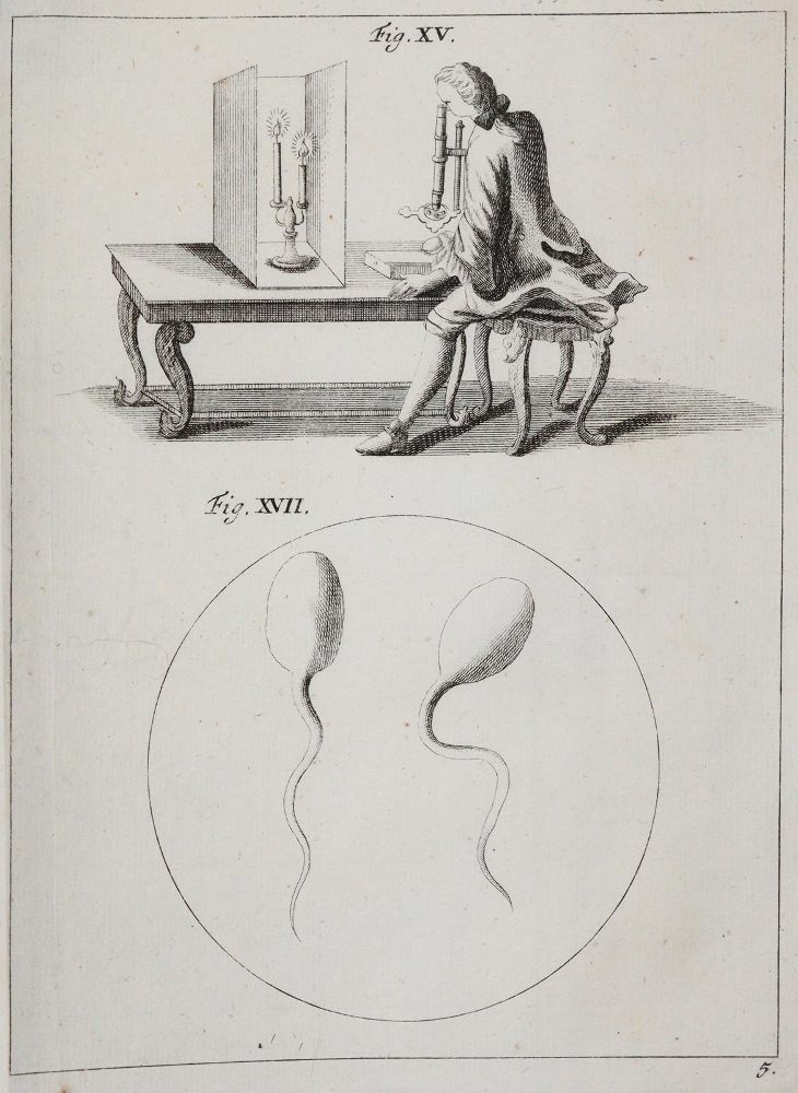 Große Abbildung Nr.27: 142-2119 Ledermüller,M.F.: (Verschiedene Gebiete - Varia)