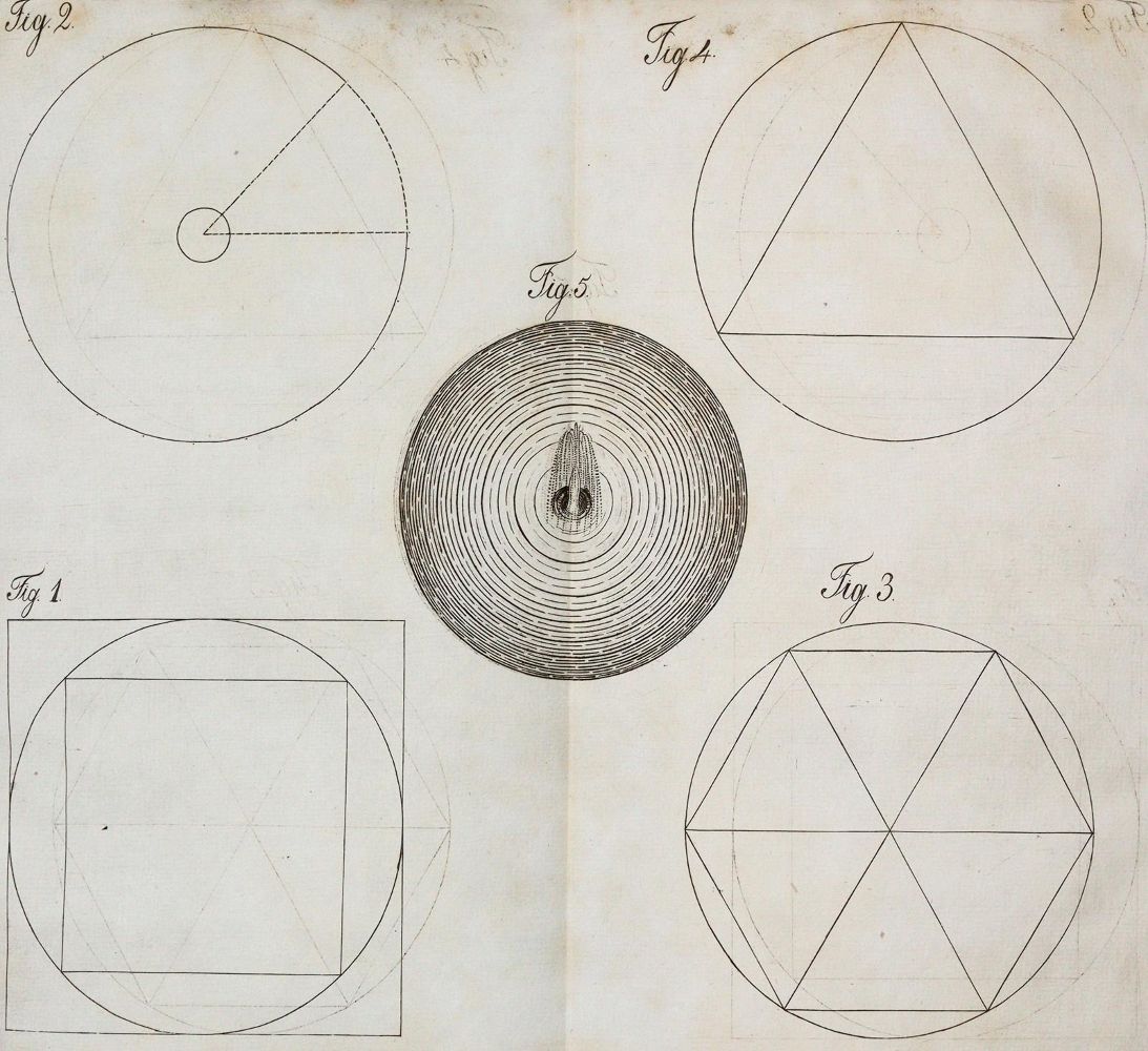 Große Abbildung Nr.2: 142-2138 Müller,D.E.: (Verschiedene Gebiete - Varia, Mathematik)