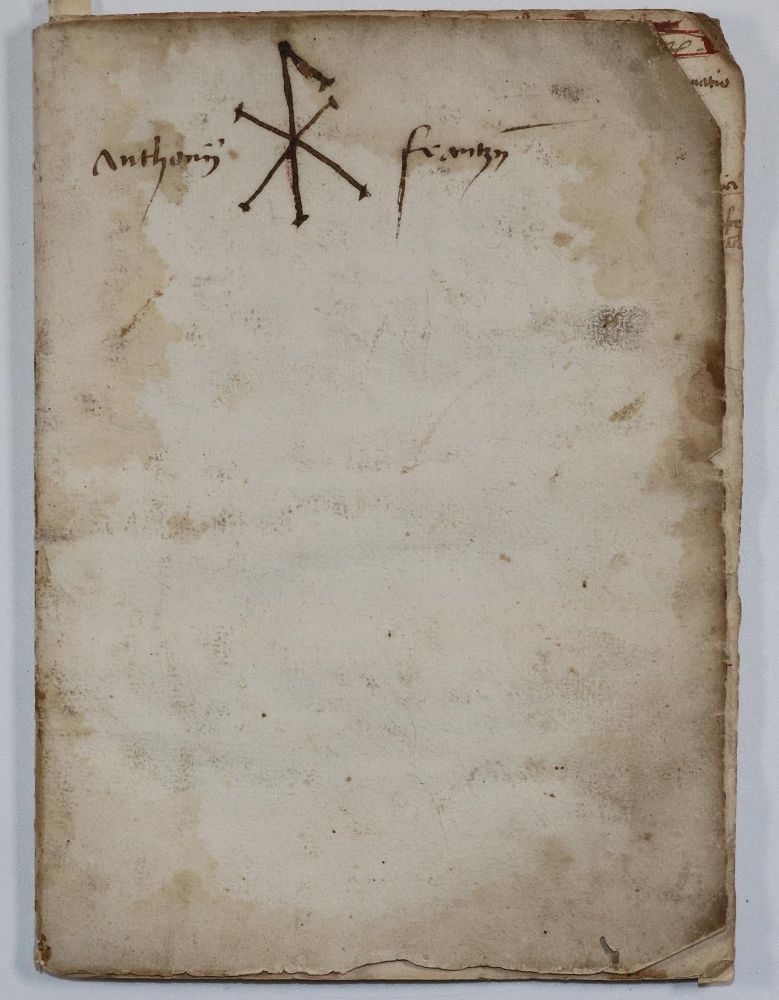 Große Abbildung Nr.21: 142-216 (Maximilian I.: (Inkunabeln, Königskrönung)