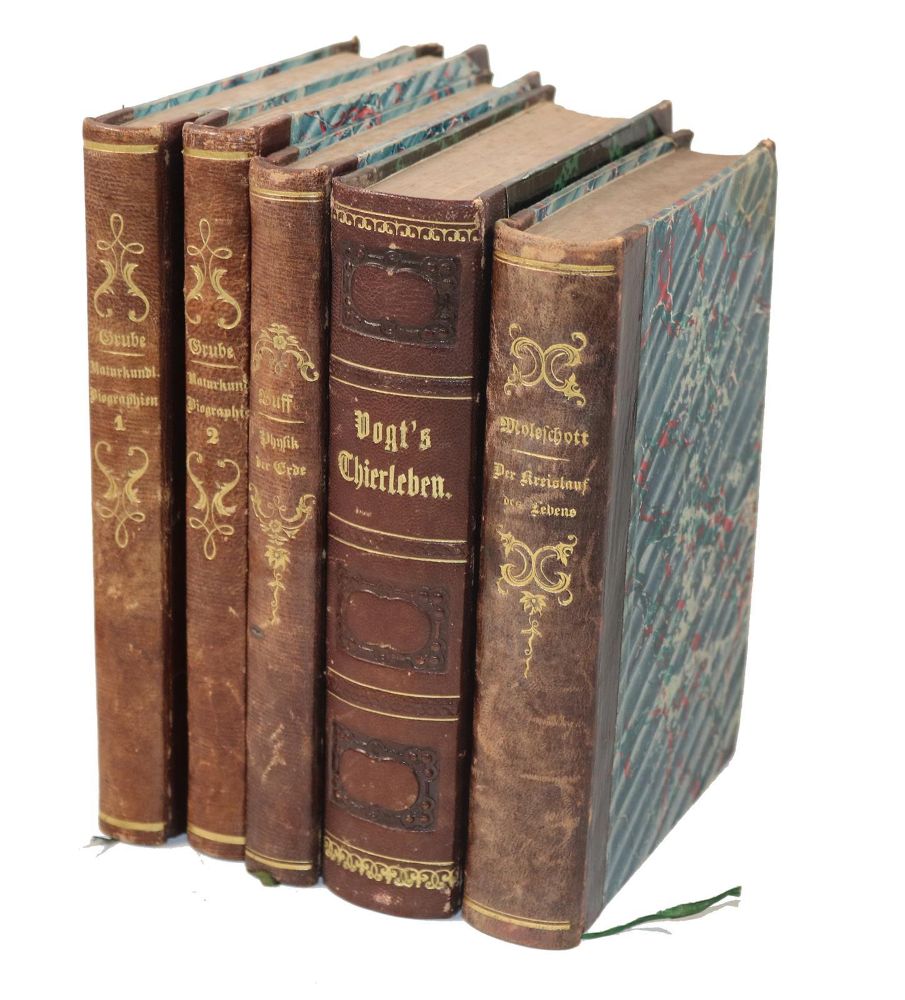 Große Abbildung Nr.2: 142-2176 Sammlung: (Verschiedene Gebiete - Varia)