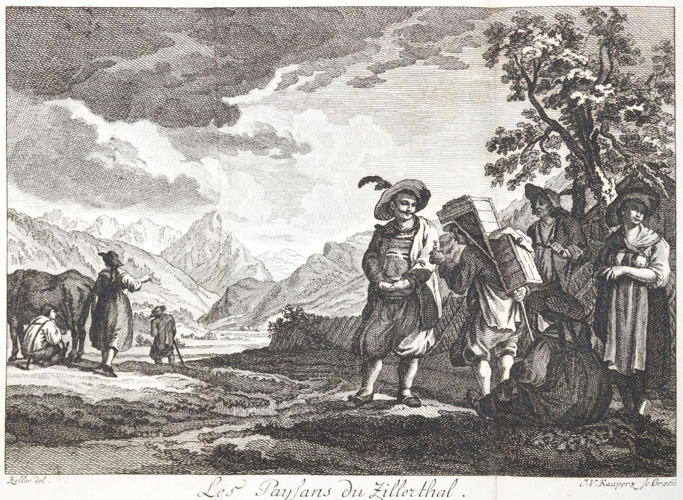Große Abbildung Nr.1: 142-2182 Schrank,F.v.Paula u. K.E.v.Moll.: (Verschiedene Gebiete - Varia)