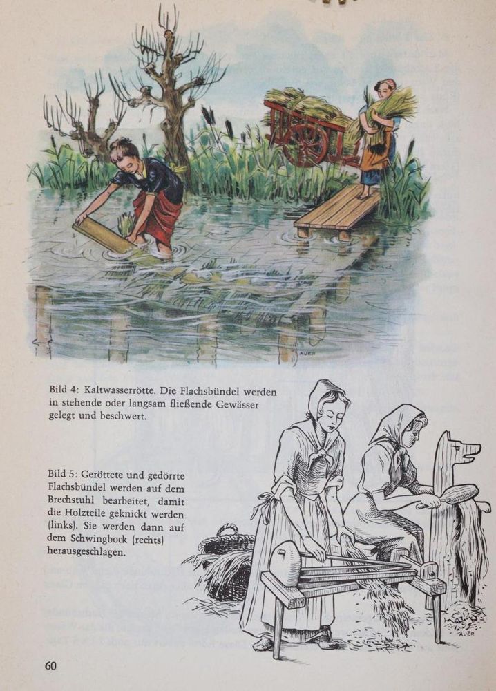 Große Abbildung Nr.2: 142-2195 Sammlung: (Verschiedene Gebiete - Varia, Textil)