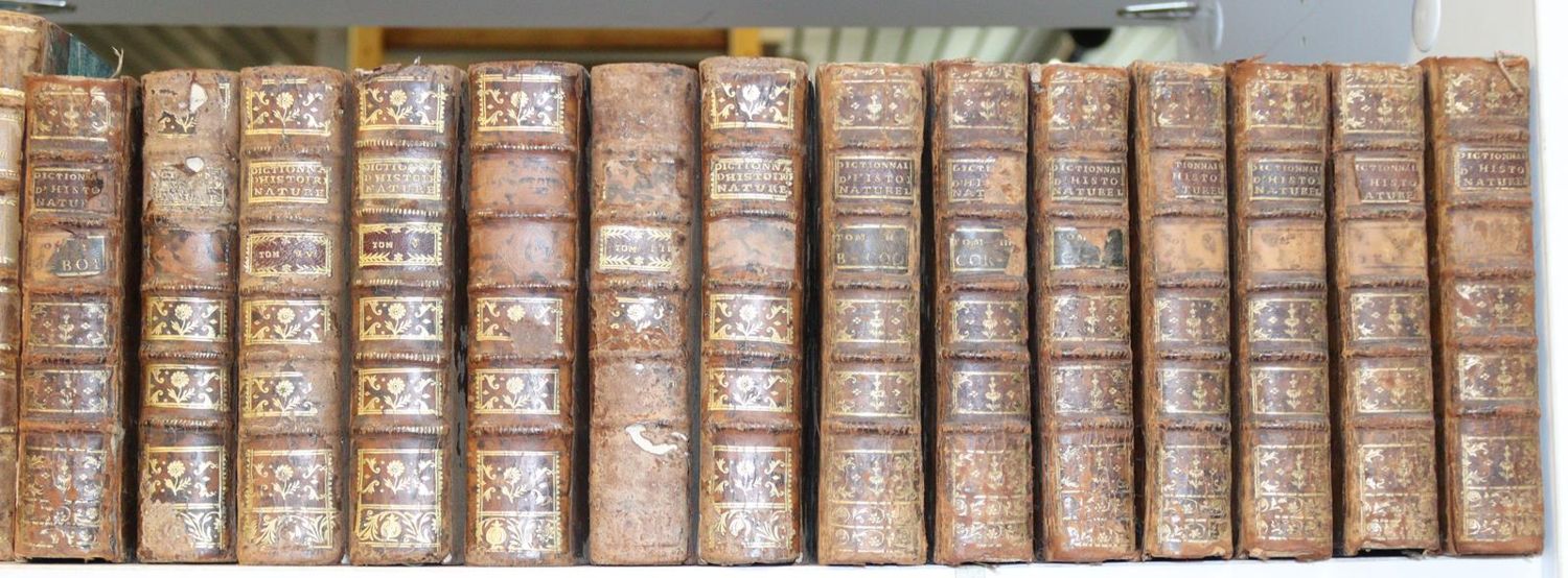 Große Abbildung Nr.2: 142-2201 Valmont de Bomare,J.C.: (Verschiedene Gebiete - Varia)