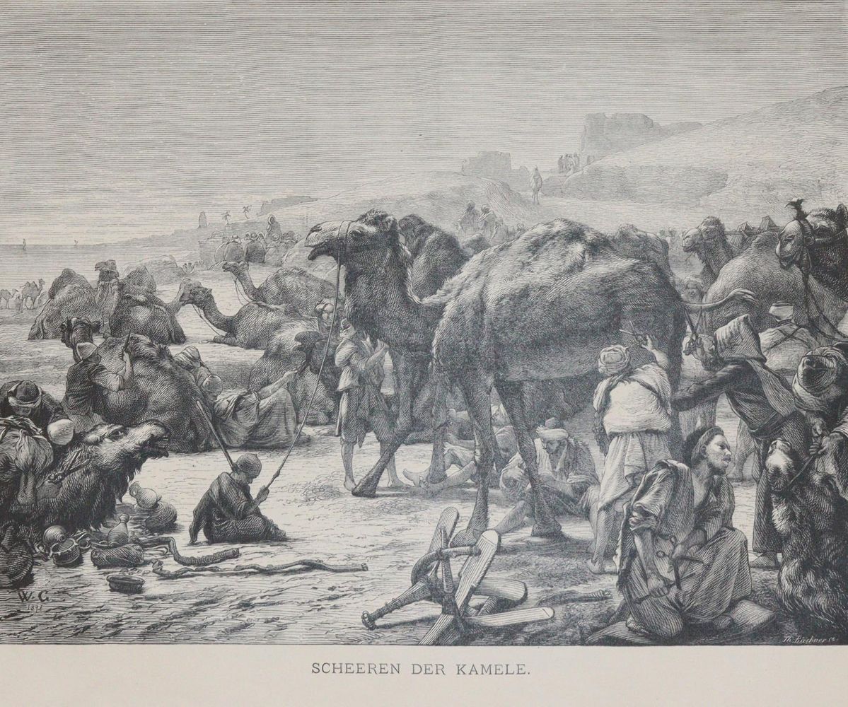 Große Abbildung Nr.3: 142-2212 Ebers,G.: (Afrika, Ägypten)