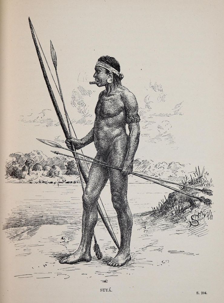 Große Abbildung Nr.6: 142-2216 Steinen,K.v.d.: (Amerika, Brasilien)