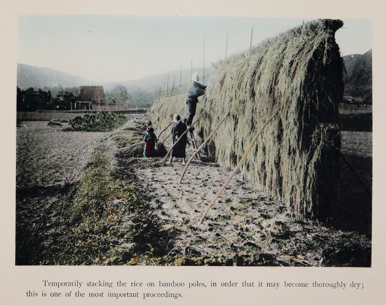 Große Abbildung Nr.3: 142-2240 Takagi,T.: (Asien, Japan)