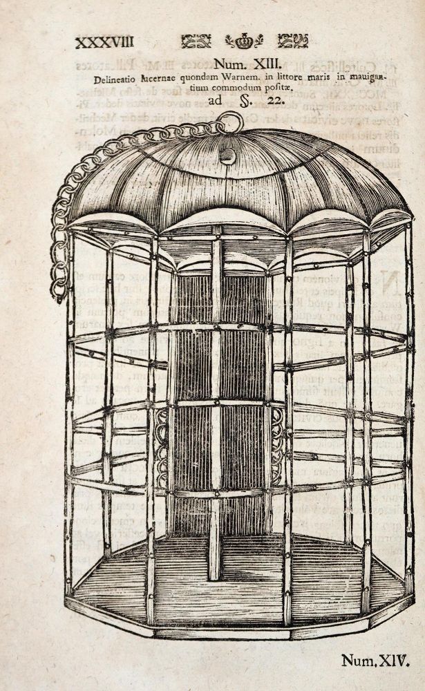 Große Abbildung Nr.2: 142-2310 Nettelbladt,H.: (Deutschland, Juridica und Kriminologie, Rostock)