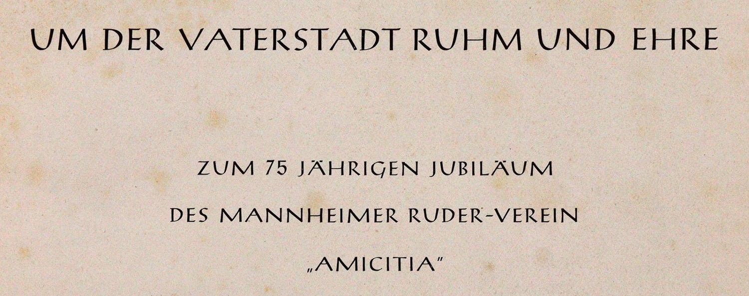 Große Abbildung Nr.2: 142-2319 Konvolut.: (Deutschland, Mannheim)