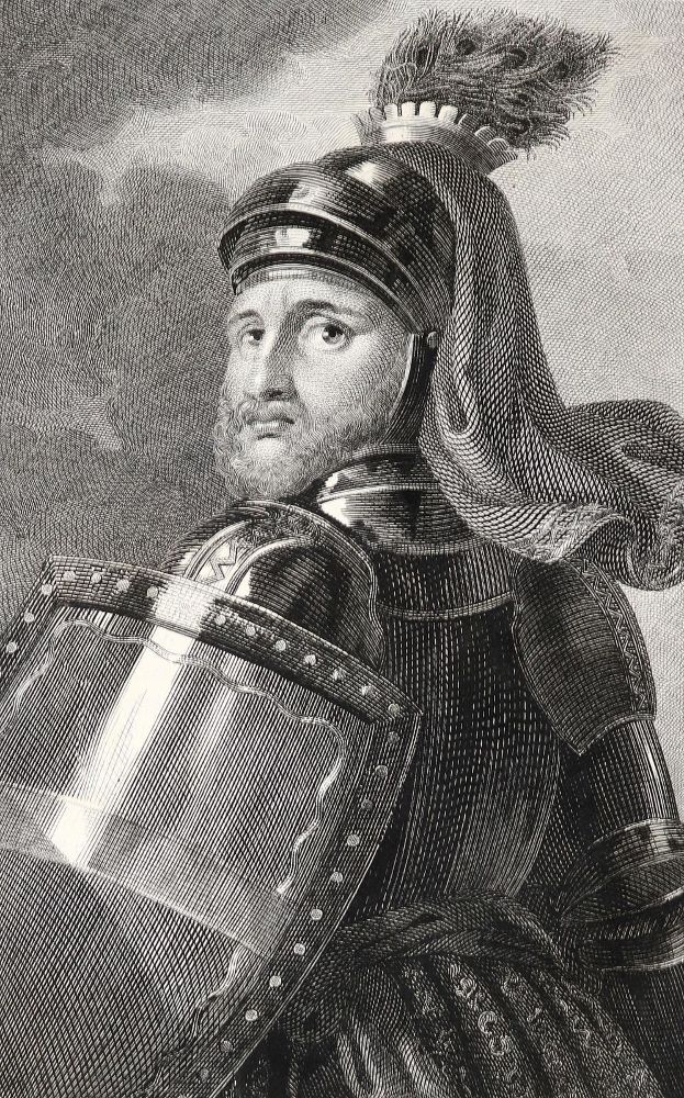 Große Abbildung Nr.2: 142-2499 (Schweickhardt,F.X.J.).: (Österreich)