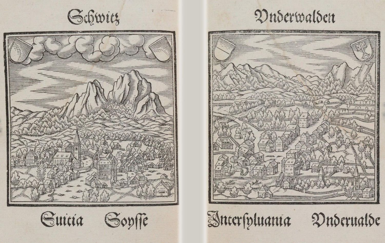 Große Abbildung Nr.2: 142-2528 Loriti,H.: (Schweiz)