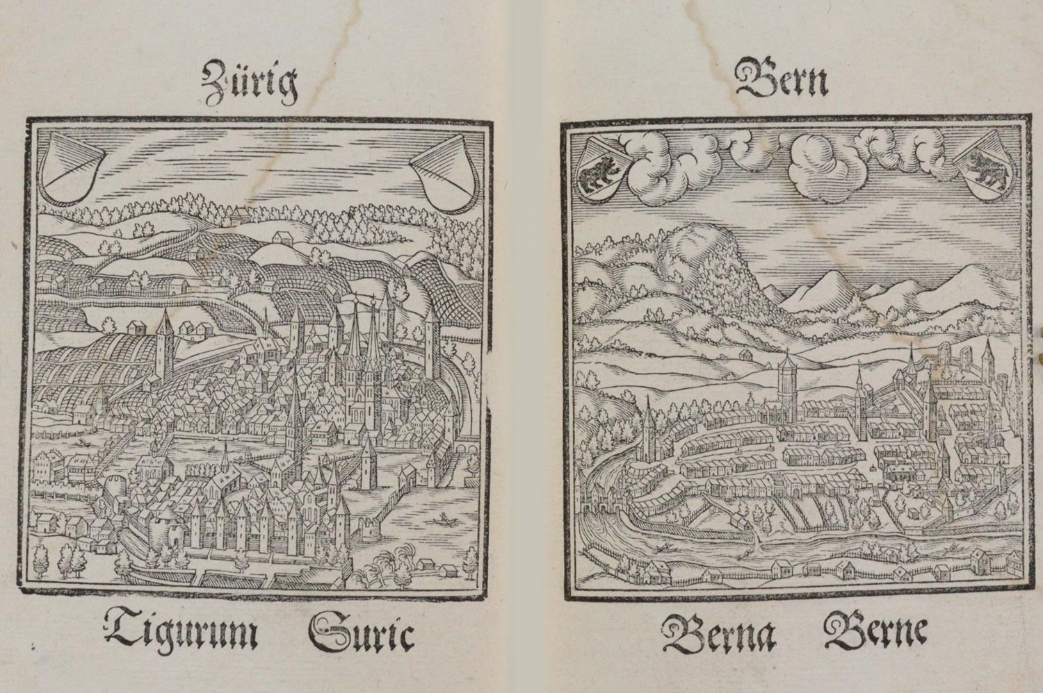 Große Abbildung Nr.5: 142-2528 Loriti,H.: (Schweiz)