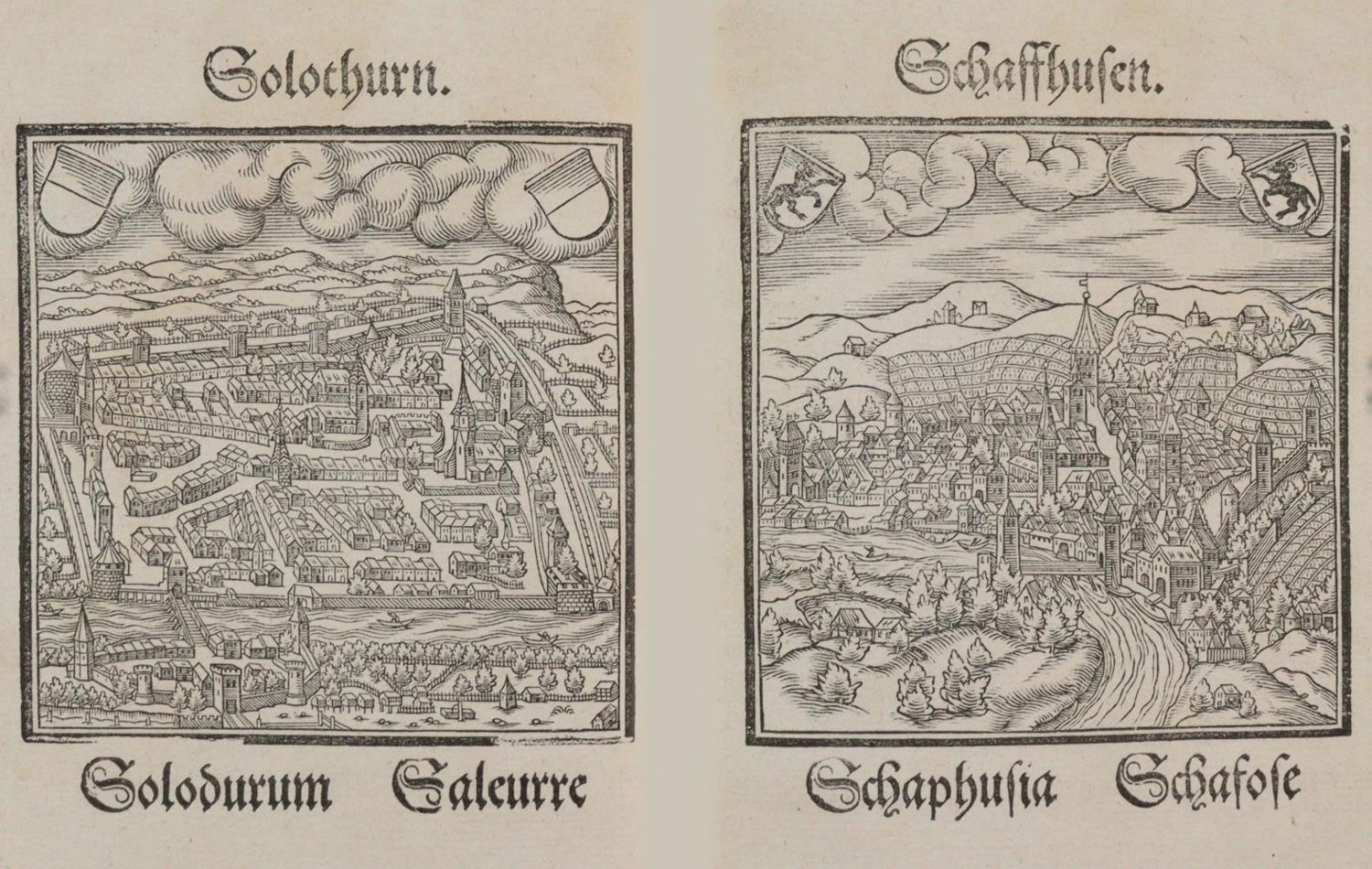 Große Abbildung Nr.7: 142-2528 Loriti,H.: (Schweiz)