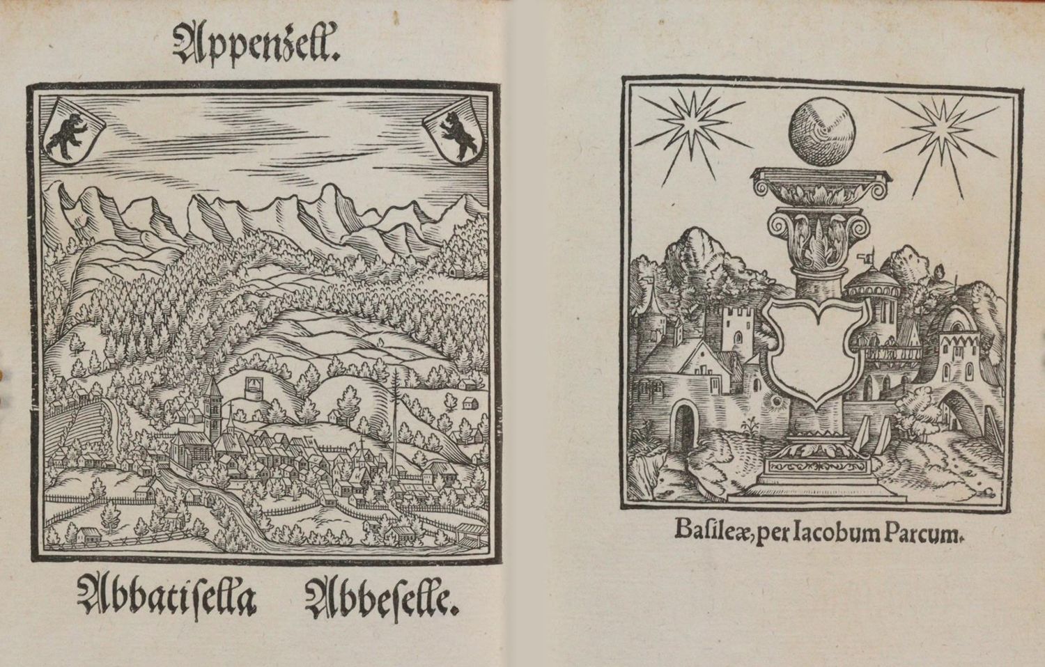 Große Abbildung Nr.8: 142-2528 Loriti,H.: (Schweiz)