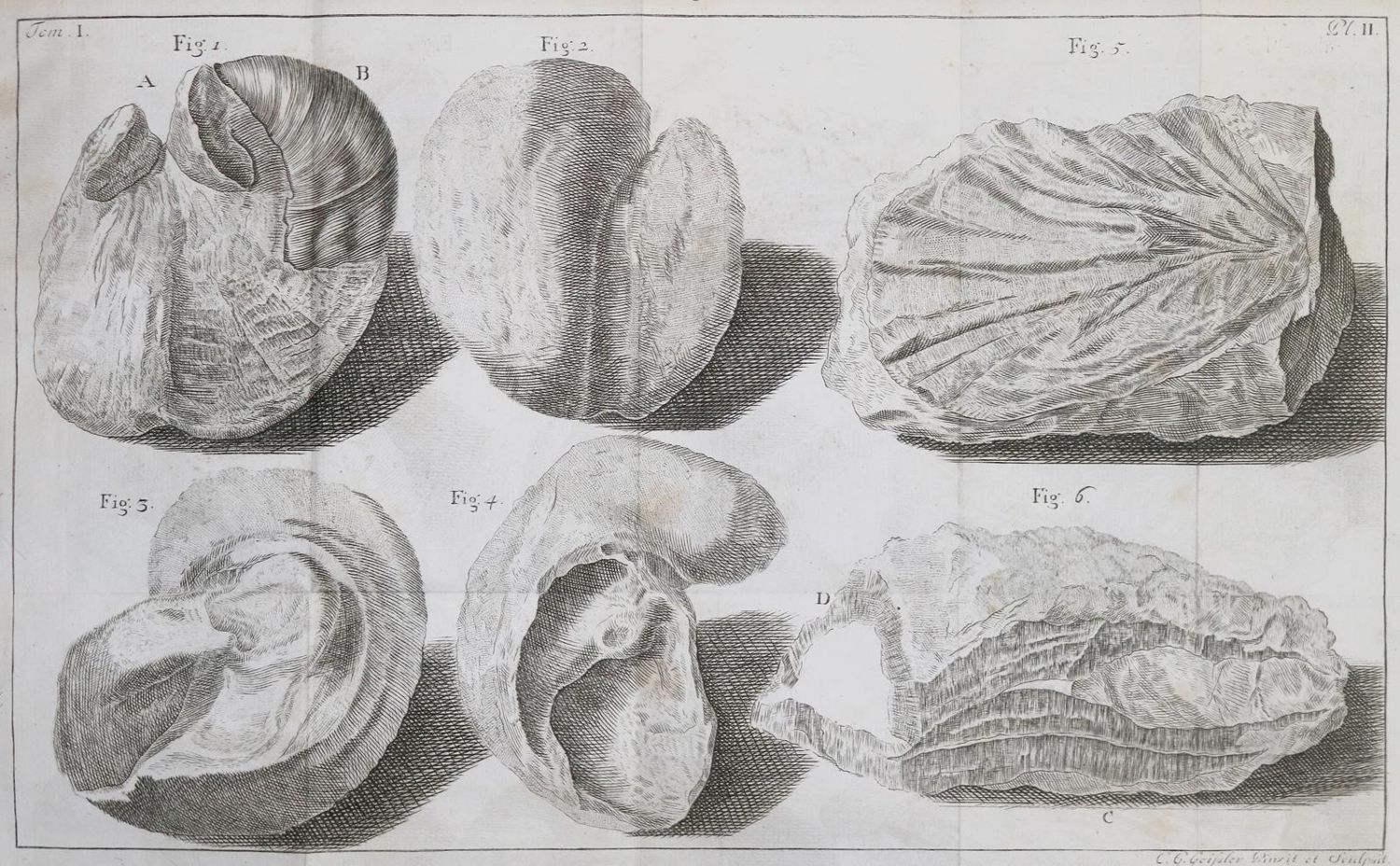 Große Abbildung Nr.2: 142-2537 Saussure,H.B.de.: (Verschiedene Länder - Geschichte, Alpen und Alpinismus)