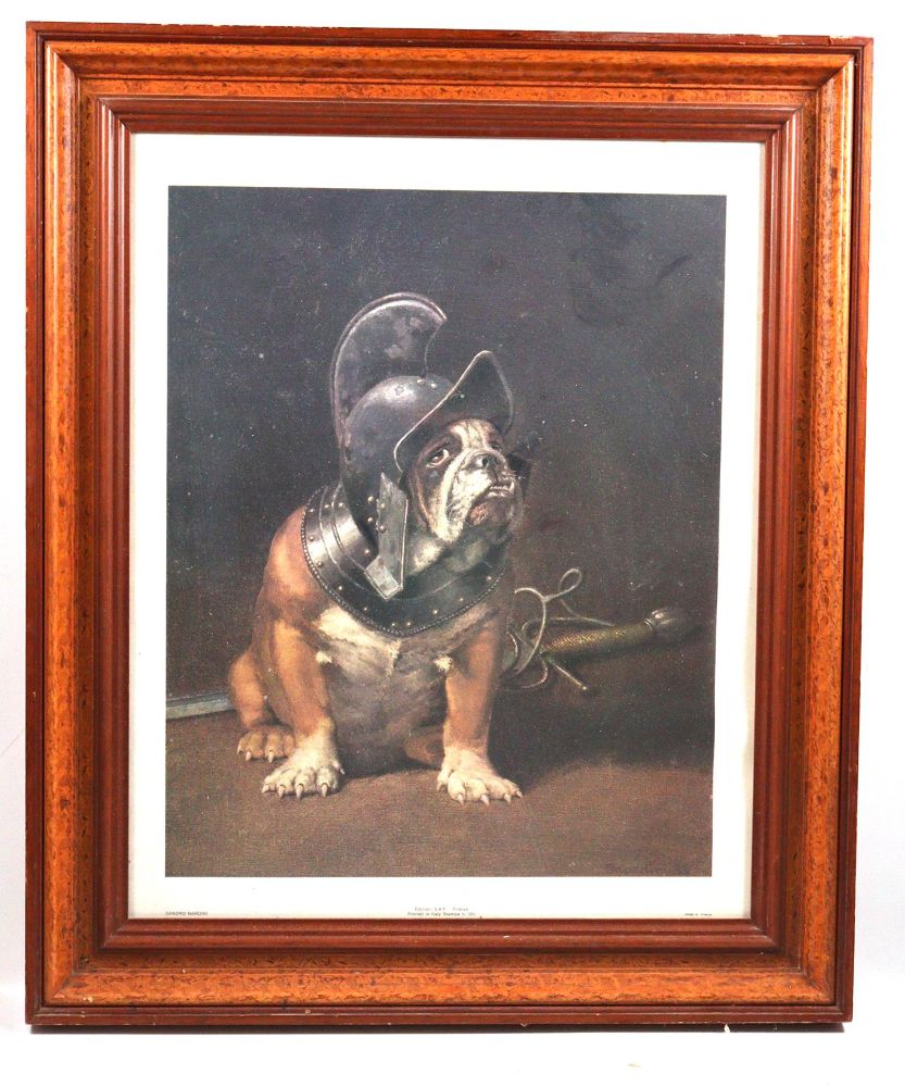 Große Abbildung Nr.10: 142-2727 Konvolut: (Varia, Mops - Bulldogge)