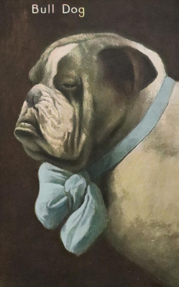 Große Abbildung Nr.1: 142-2728 Sammlung: (Varia, Mops - Bulldogge)