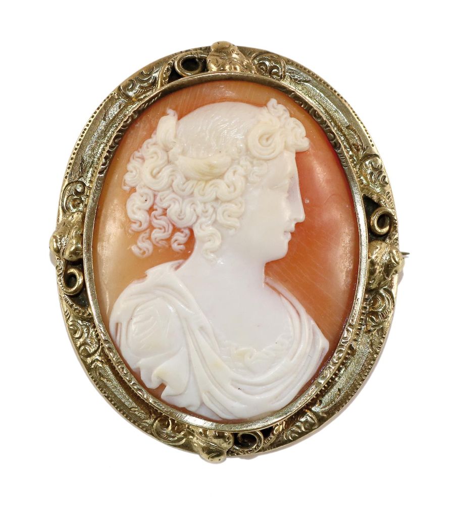 Große Abbildung Nr.1: 142-2959 Damenportrait.: (Schmuck, Kameen)