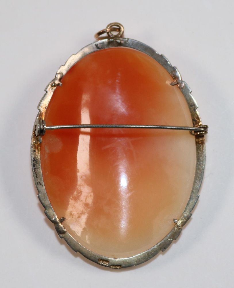 Große Abbildung Nr.2: 142-2963 Muschelkamee: (Schmuck, Kameen)