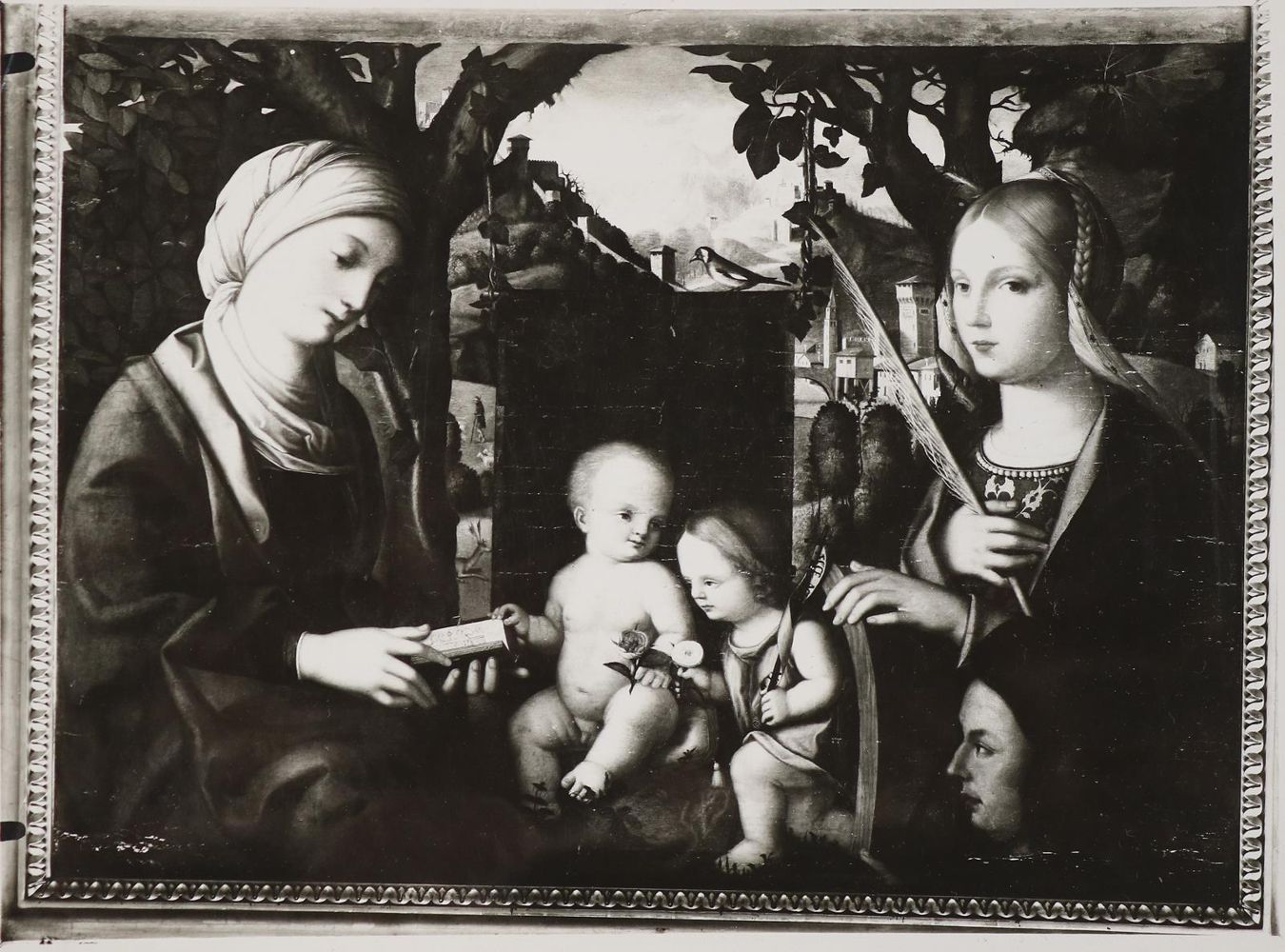 Große Abbildung Nr.3: 142-3083 Alinari Brüder, zugeschrieben.: (Rom)