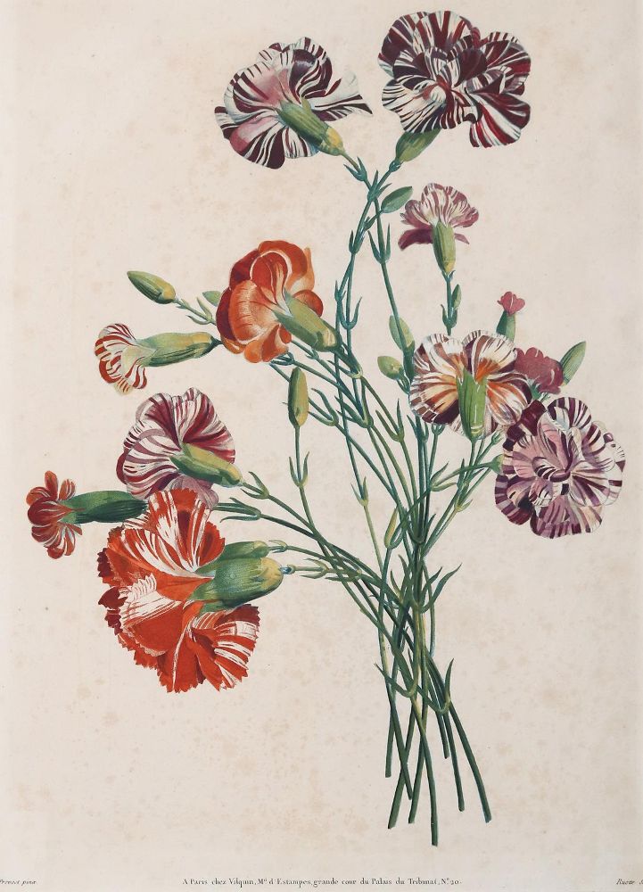 Große Abbildung Nr.1: 142-3113 Blumenbukett.: (Varia, Botanik)
