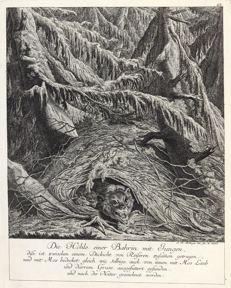 Große Abbildung Nr.1: 142-3138 Ridinger,E.J.: (Varia, Jagd, Bären)