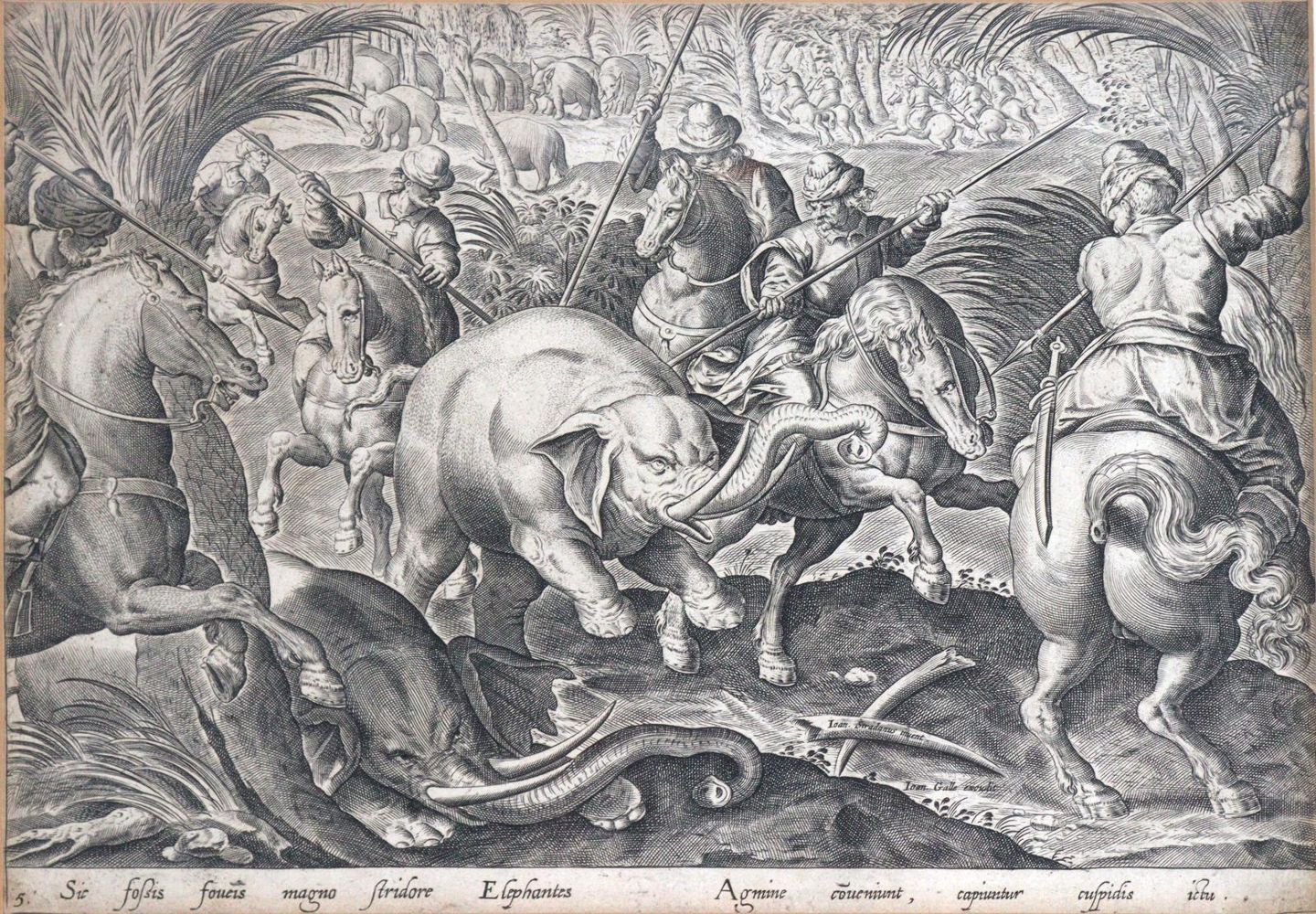 Große Abbildung Nr.1: 142-3140 Elephantenjagd.: (Varia, Jagd)